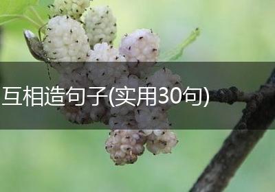 互相造句子(实用30句)