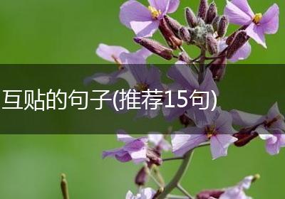 互贴的句子(推荐15句)