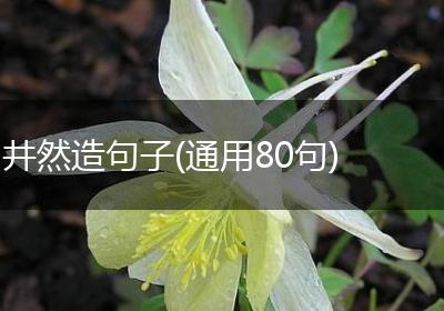 井然造句子(通用80句)