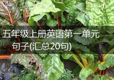 五年级上册英语第一单元句子(汇总20句)