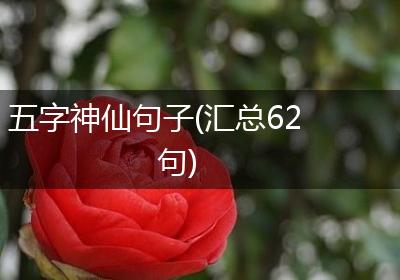 五字神仙句子(汇总62句)