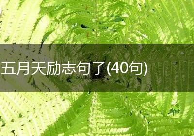 五月天励志句子(40句)