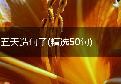 五天造句子(精选50句)
