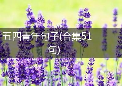 五四青年句子(合集51句)