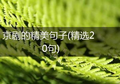 京剧的精美句子(精选20句)