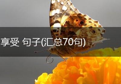 享受 句子(汇总70句)