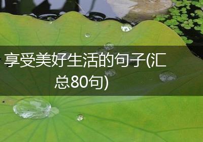享受美好生活的句子(汇总80句)
