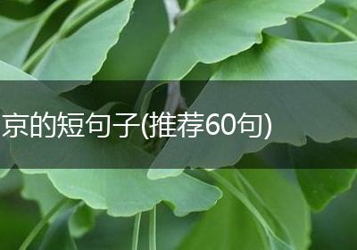 京的短句子(推荐60句)