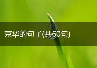 京华的句子(共60句)