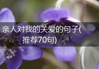 亲人对我的关爱的句子(推荐70句)