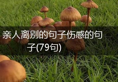 亲人离别的句子伤感的句子(79句)