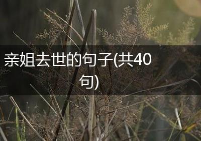 亲姐去世的句子(共40句)