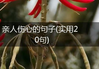 亲人伤心的句子(实用20句)