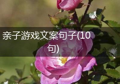 亲子游戏文案句子(10句)