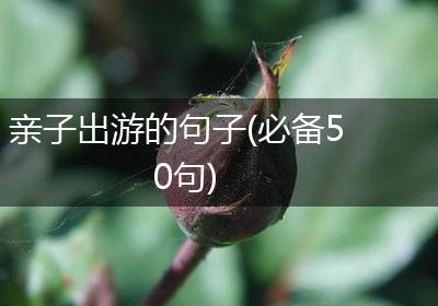 亲子出游的句子(必备50句)