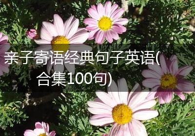 亲子寄语经典句子英语(合集100句)