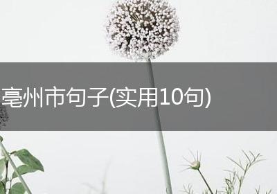 亳州市句子(实用10句)