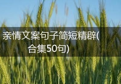 亲情文案句子简短精辟(合集50句)