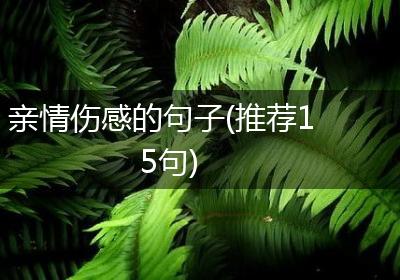 亲情伤感的句子(推荐15句)