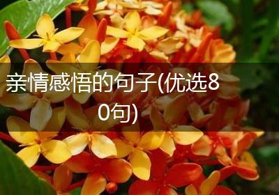亲情感悟的句子(优选80句)