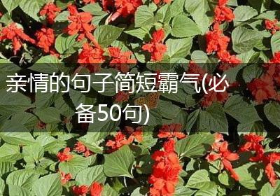 亲情的句子简短霸气(必备50句)