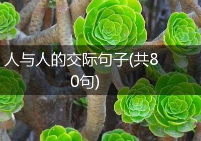 人与人的交际句子(共80句)