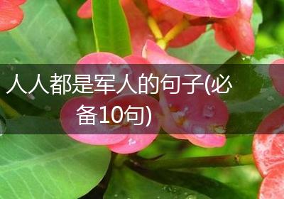 人人都是军人的句子(必备10句)