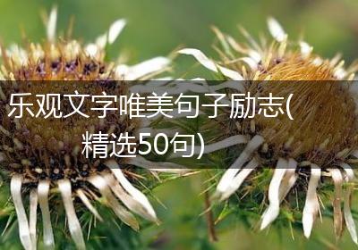 乐观文字唯美句子励志(精选50句)