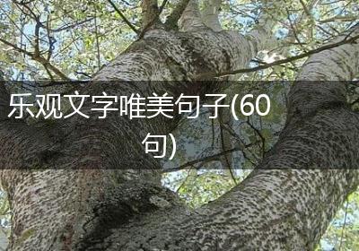 乐观文字唯美句子(60句)