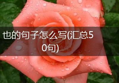 也的句子怎么写(汇总50句)