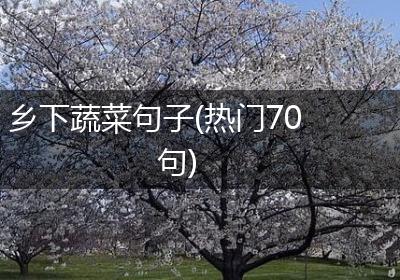乡下蔬菜句子(热门70句)