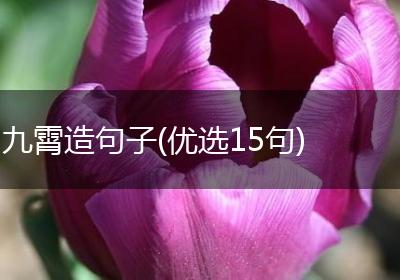 九霄造句子(优选15句)