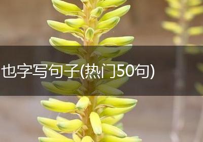 也字写句子(热门50句)