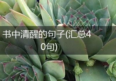 书中清醒的句子(汇总40句)