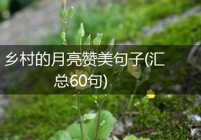 乡村的月亮赞美句子(汇总60句)