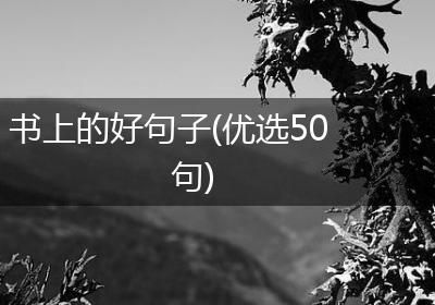 书上的好句子(优选50句)
