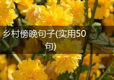 乡村傍晚句子(实用50句)