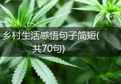 乡村生活感悟句子简短(共70句)