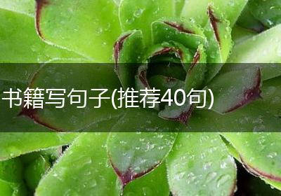 书籍写句子(推荐40句)