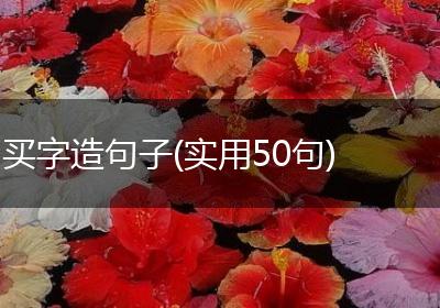 买字造句子(实用50句)