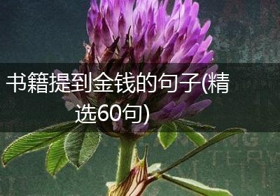 书籍提到金钱的句子(精选60句)