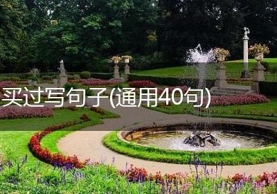 买过写句子(通用40句)