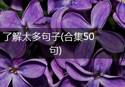 了解太多句子(合集50句)