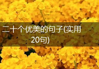 二十个优美的句子(实用20句)