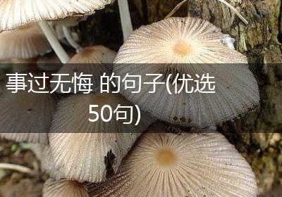 事过无悔 的句子(优选50句)