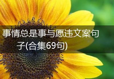 事情总是事与愿违文案句子(合集69句)