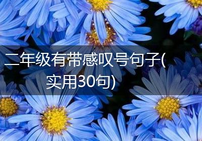 二年级有带感叹号句子(实用30句)