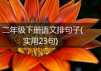 二年级下册语文排句子(实用23句)