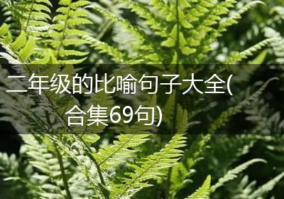 二年级的比喻句子大全(合集69句)