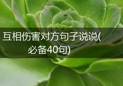 互相伤害对方句子说说(必备40句)